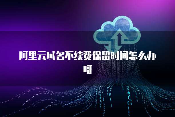 新购服务器与互联网域名注册问题解决方案